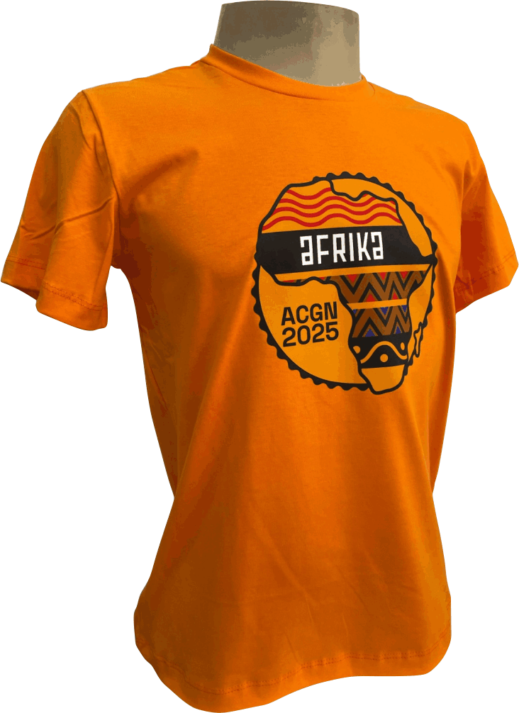 camiseta-algodão-laranja-dtf